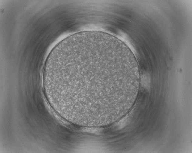 X0000085761150200704131731