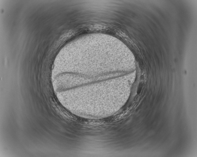 X0000085761153200704131730