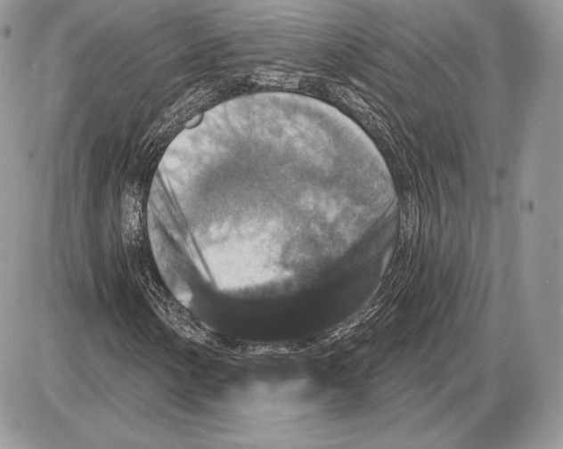 X0000085761154200704131730