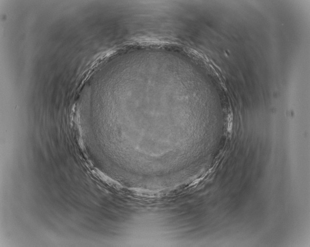 X0000085761157200704131730