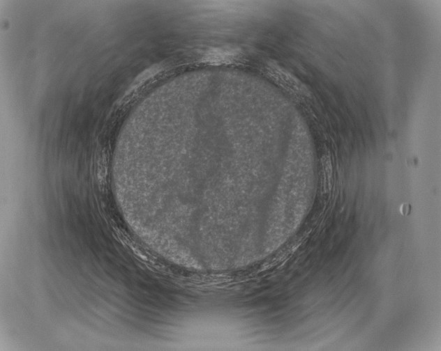 X0000085761158200704131730
