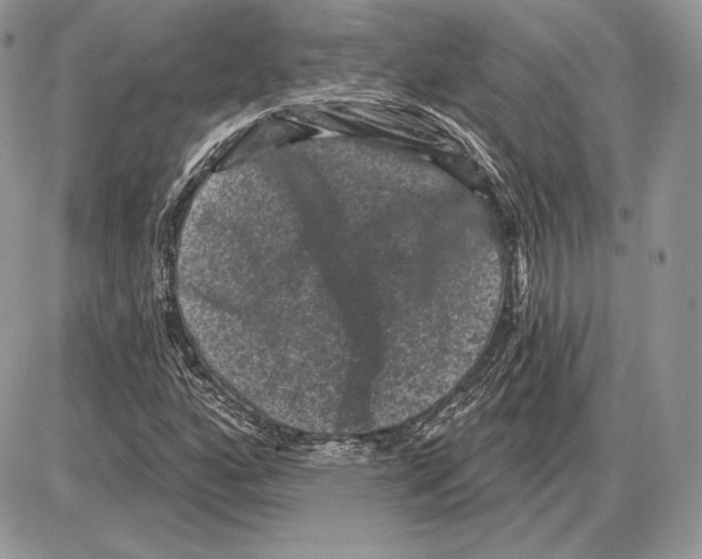 X0000085761160200704131730