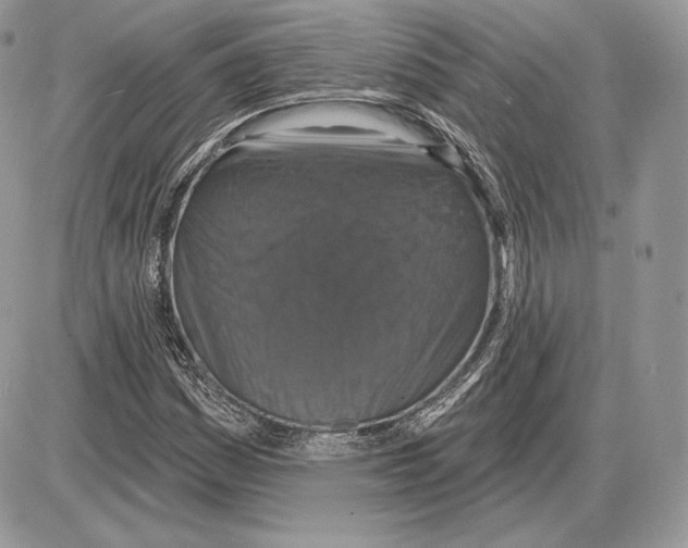 X0000085761161200704131730