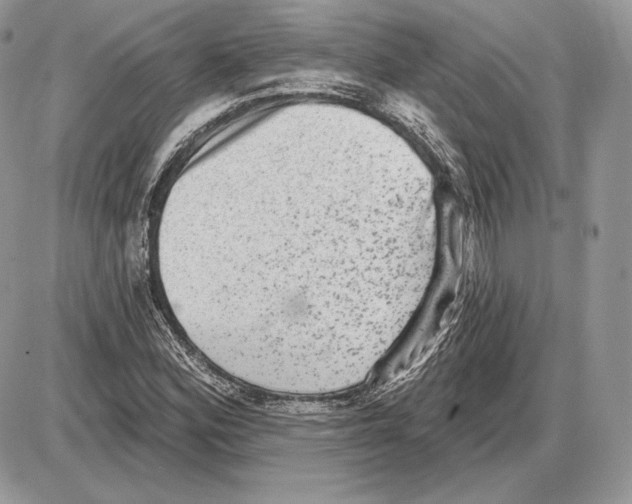 X0000085761164200704131730