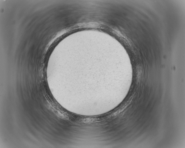 X0000085761166200704131730