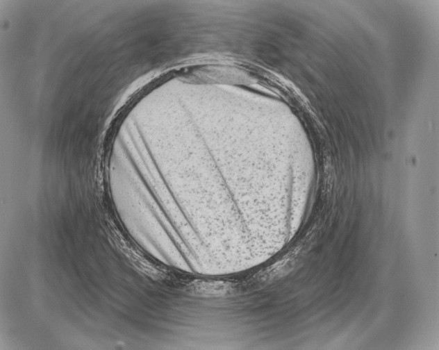 X0000085761168200704131730