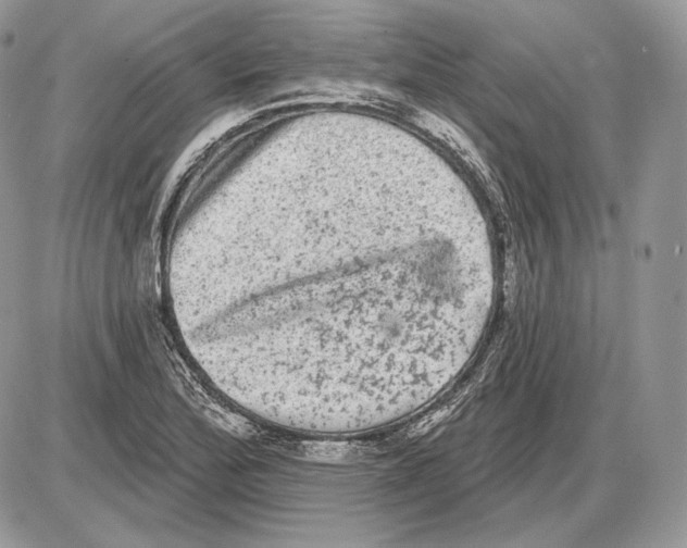 X0000085761172200704131730