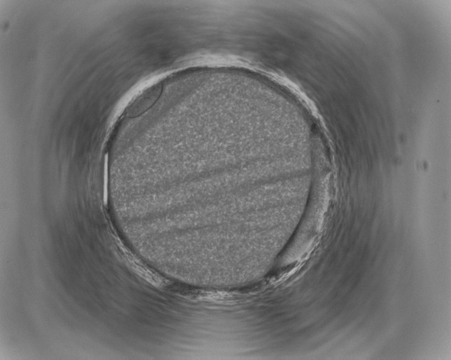 X0000085761175200704131730