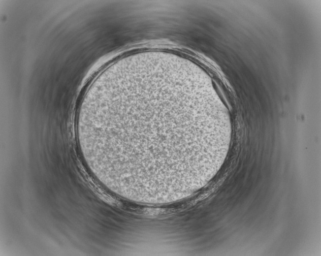 X0000085761176200704131730