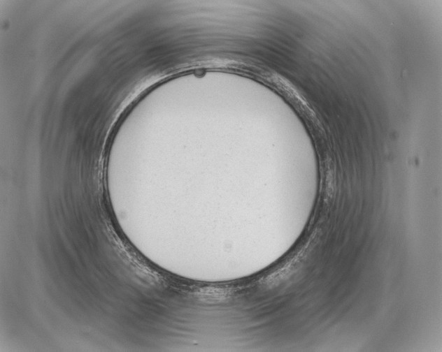 X0000085761178200704131730