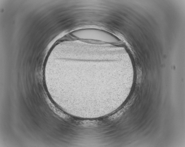 X0000085761181200704131730