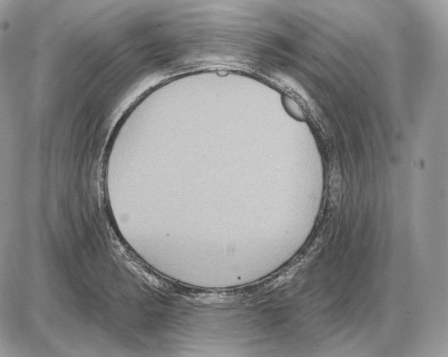 X0000085761182200704131730