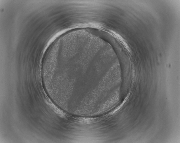 X0000085761184200704131730