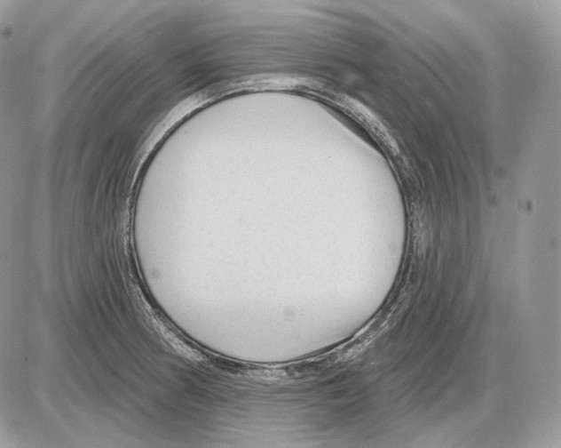 X0000085761186200704131730