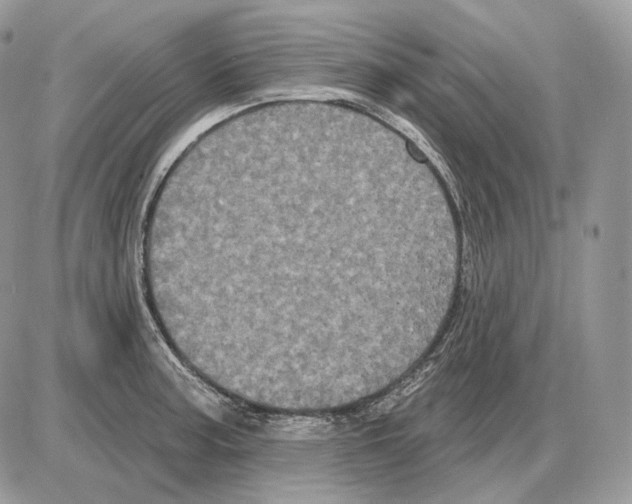 X0000085761187200704131730