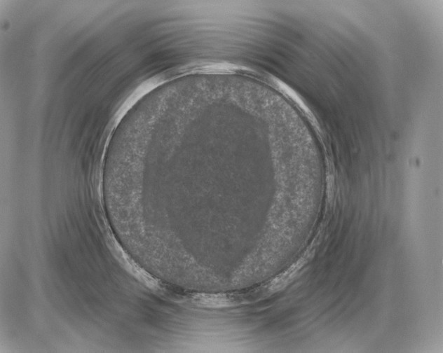 X0000085761194200704131730