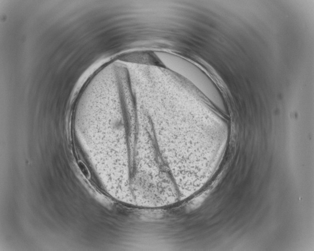 X0000085761196200704131730