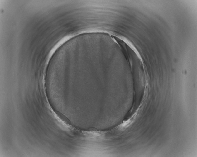 X0000085761197200704131730