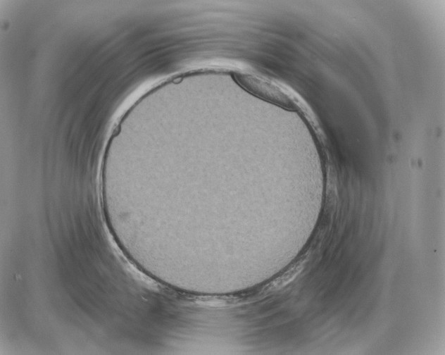 X0000085761199200704131730