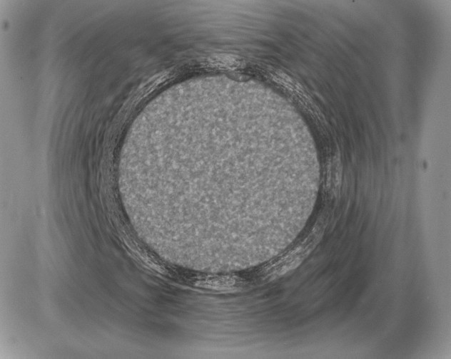 X0000085761201200704131729