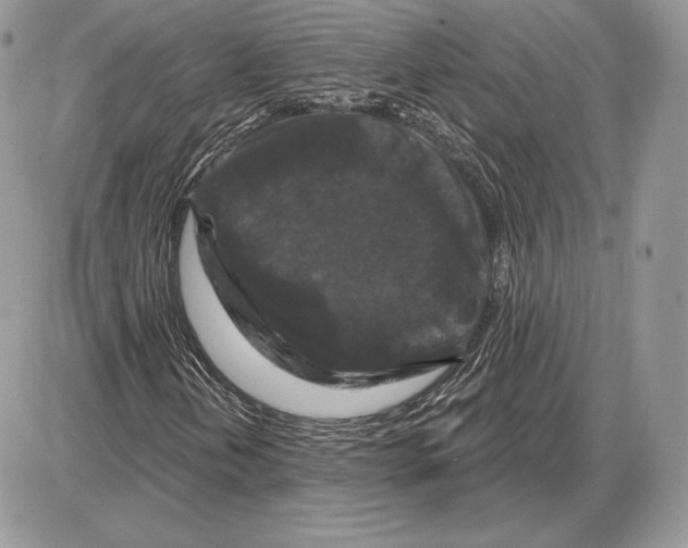 X0000085761202200704131729