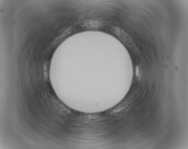 X0000085761203200704131729