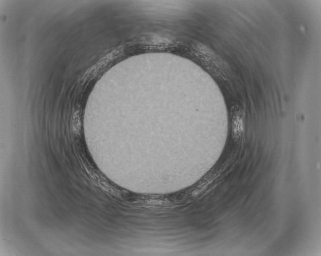 X0000085761204200704131729
