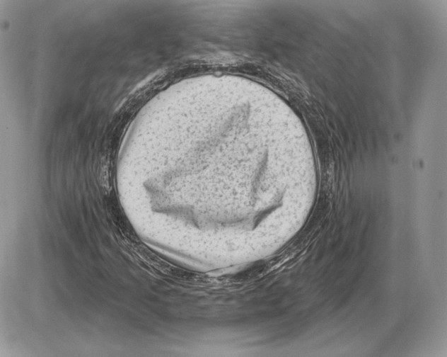 X0000085761205200704131729