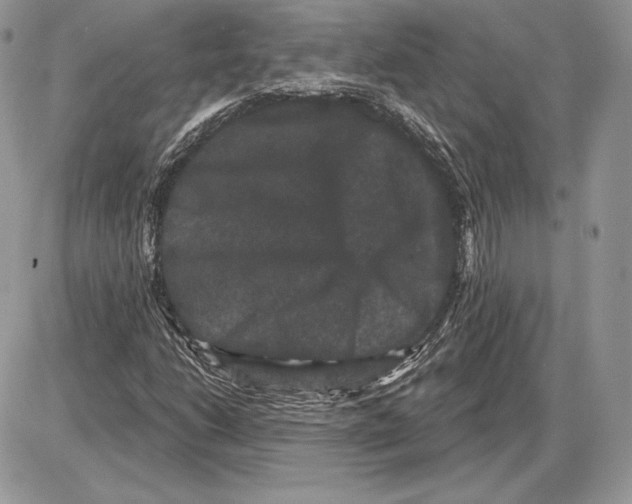 X0000085761206200704131729