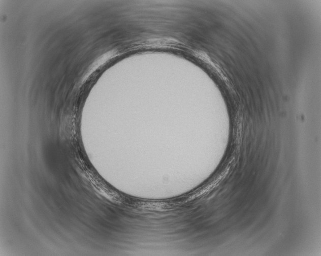 X0000085761211200704131729