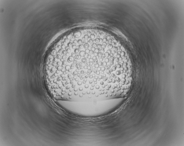 X0000085761216200704131729