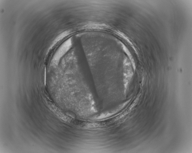 X0000085761219200704131729