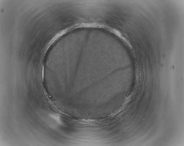 X0000085761221200704131729