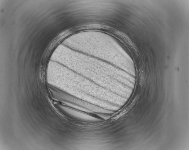 X0000085761225200704131729
