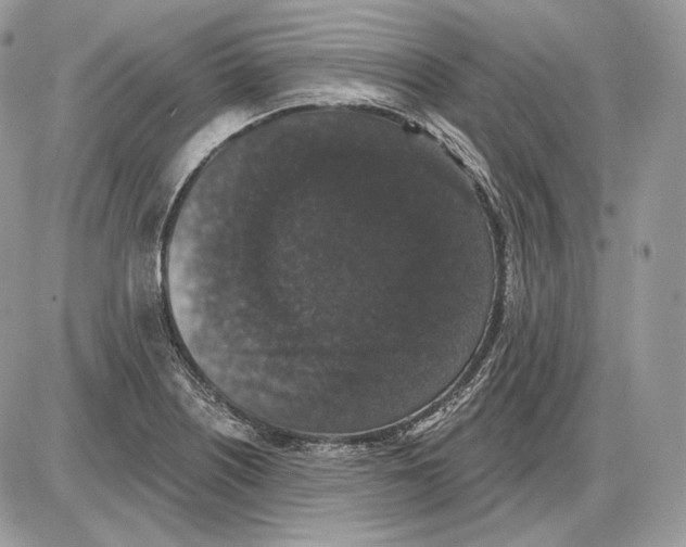 X0000085761226200704131729