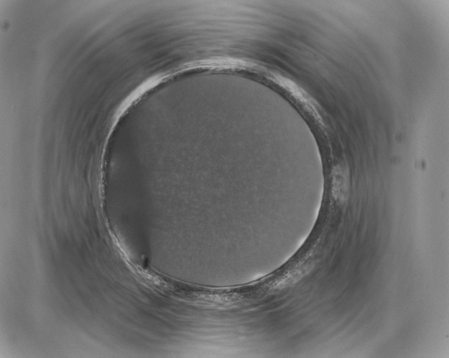 X0000085761229200704131729
