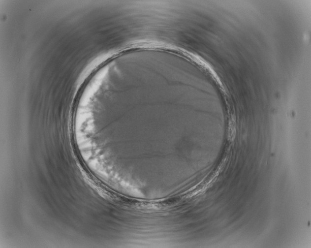 X0000085761231200704131729