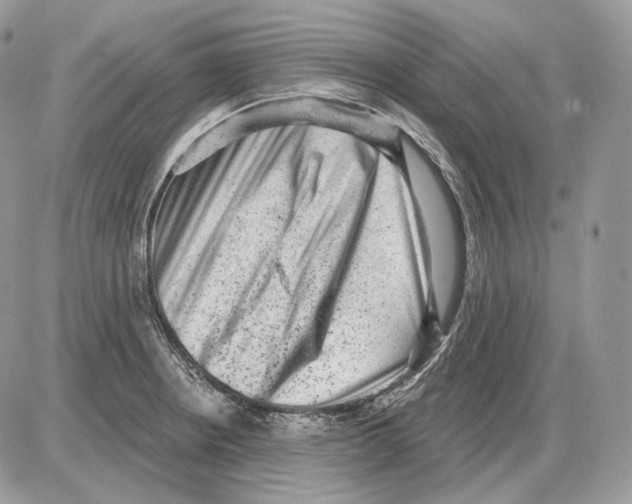 X0000085761234200704131729
