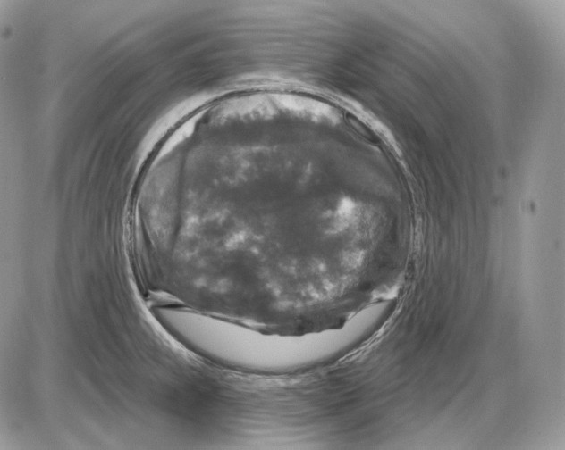 X0000085761239200704131729