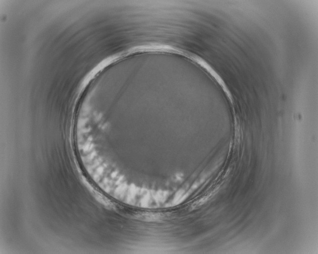 X0000085761245200704131730