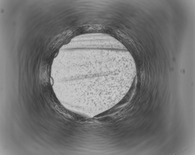 X0000085761250200704131729