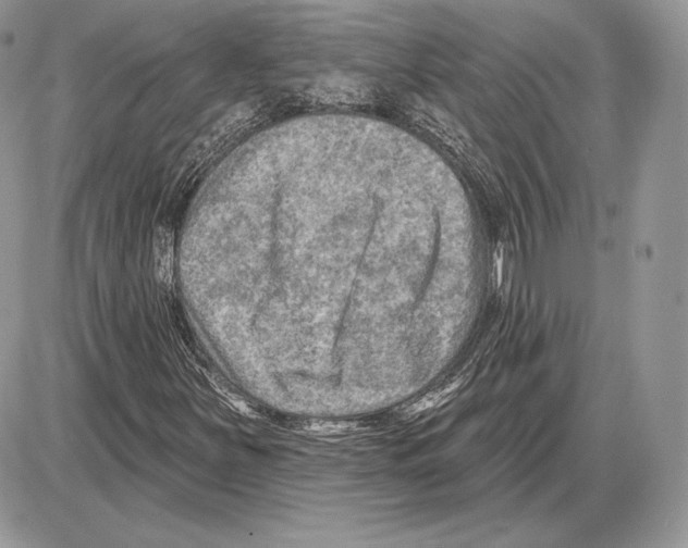X0000085761251200704131729