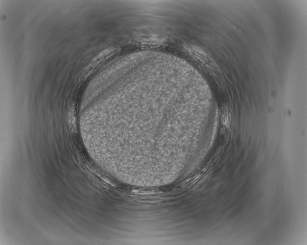 X0000085761252200704131729