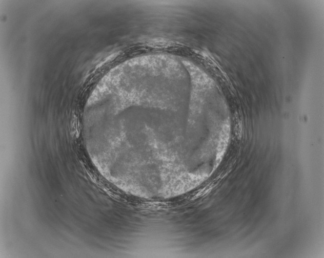 X0000085761253200704131729