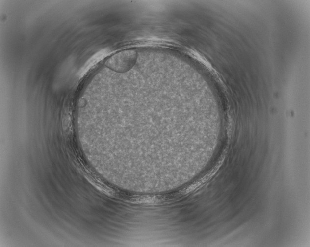 X0000085761259200704131729