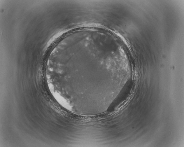 X0000085761263200704131729