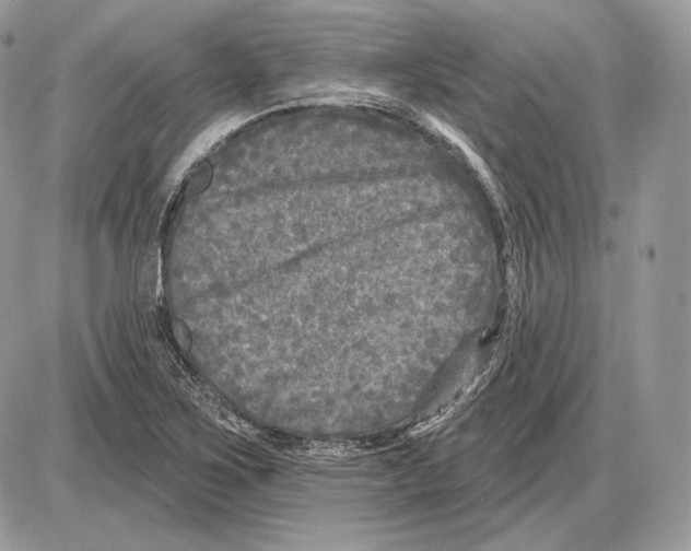 X0000085761267200704131729