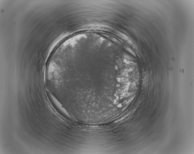 X0000085761275200704131728