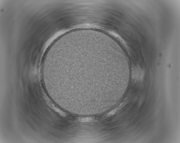 X0000085761278200704131728