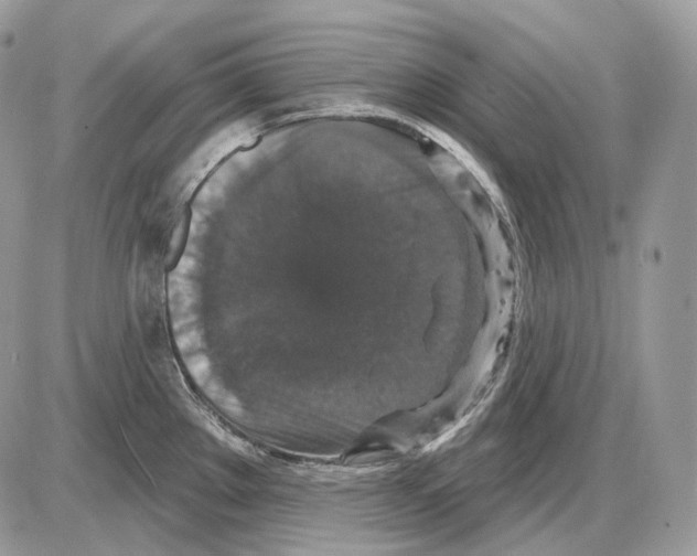 X0000085761289200704131728